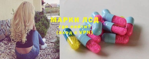 прущие грибы Абаза