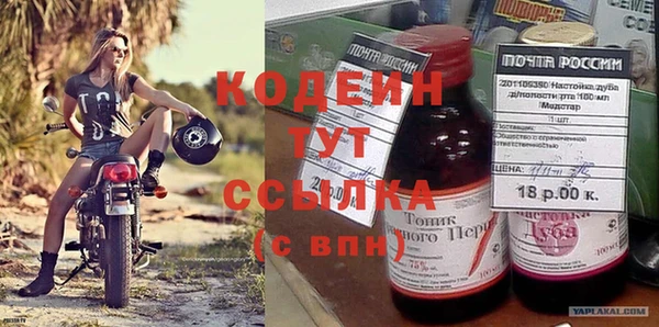 прущие грибы Абаза