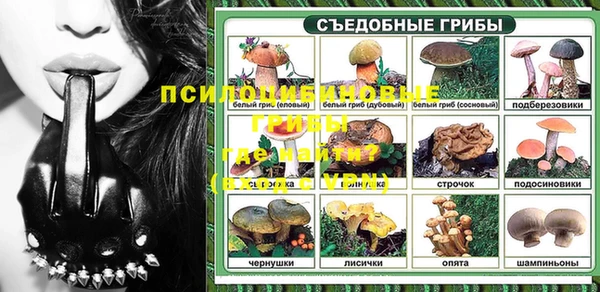 сатива Алзамай