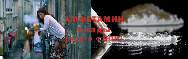 прущие грибы Абаза