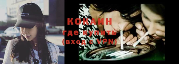 прущие грибы Абаза