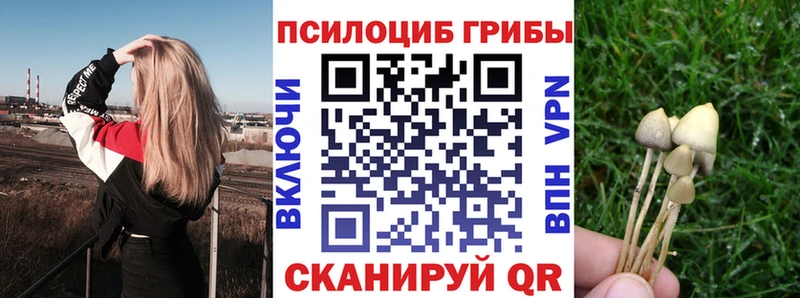 Псилоцибиновые грибы ЛСД  даркнет телеграм  Елабуга 